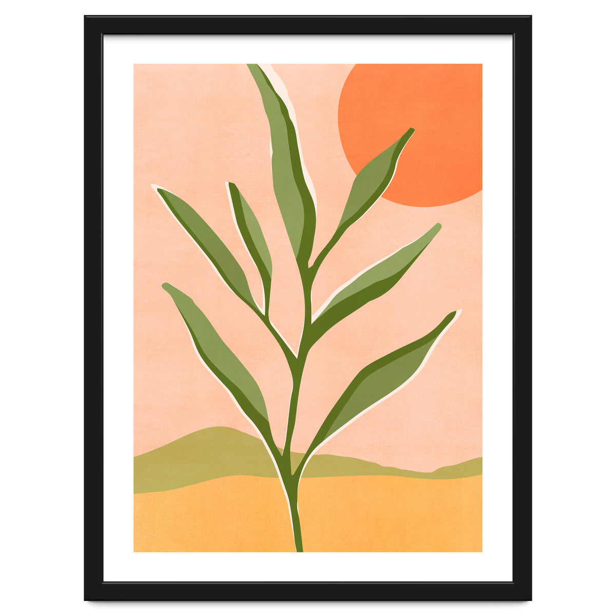 The Sun and The Succulent