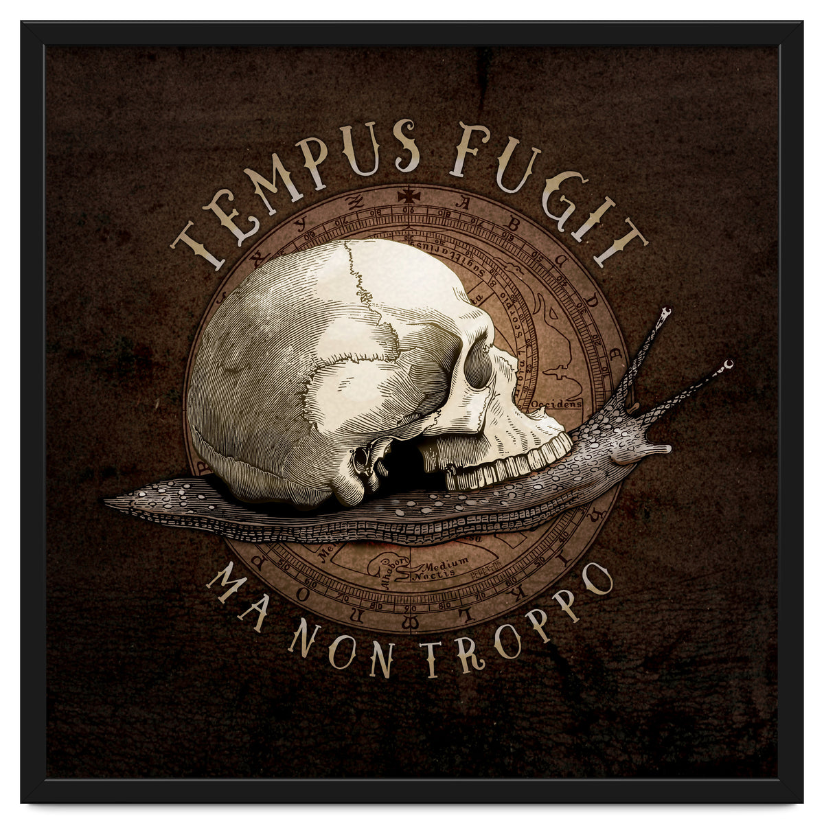 Tempus Fugit (ma non troppo)