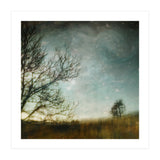 The Tree That Whispered (Print Only) thumbnail
