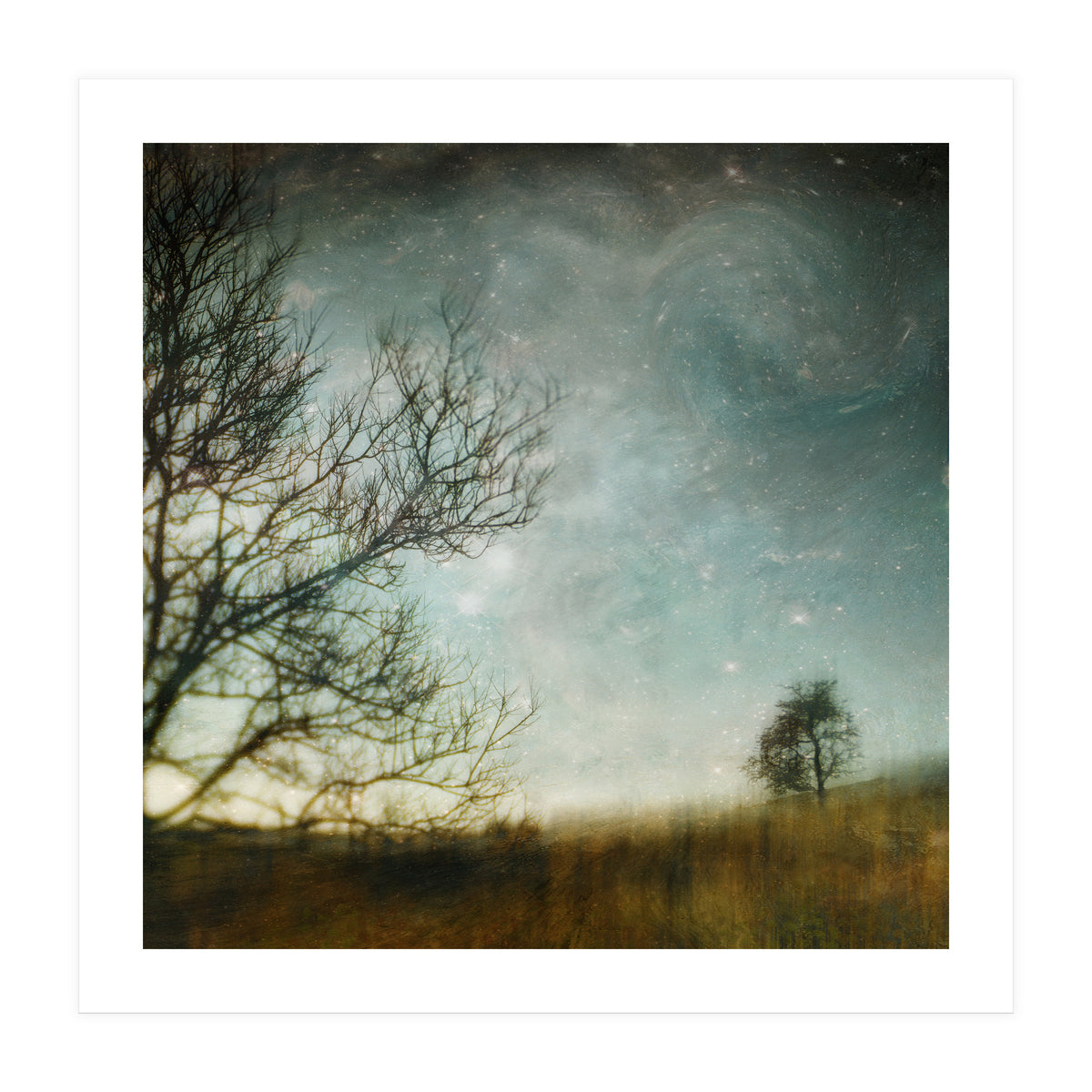 The Tree That Whispered (Print Only)