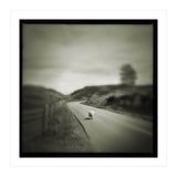 Gesto (Print Only) thumbnail