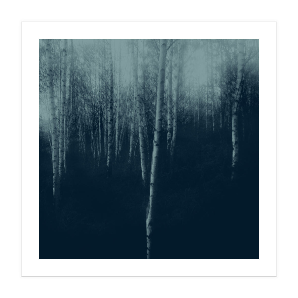 deep veins I (Print Only)