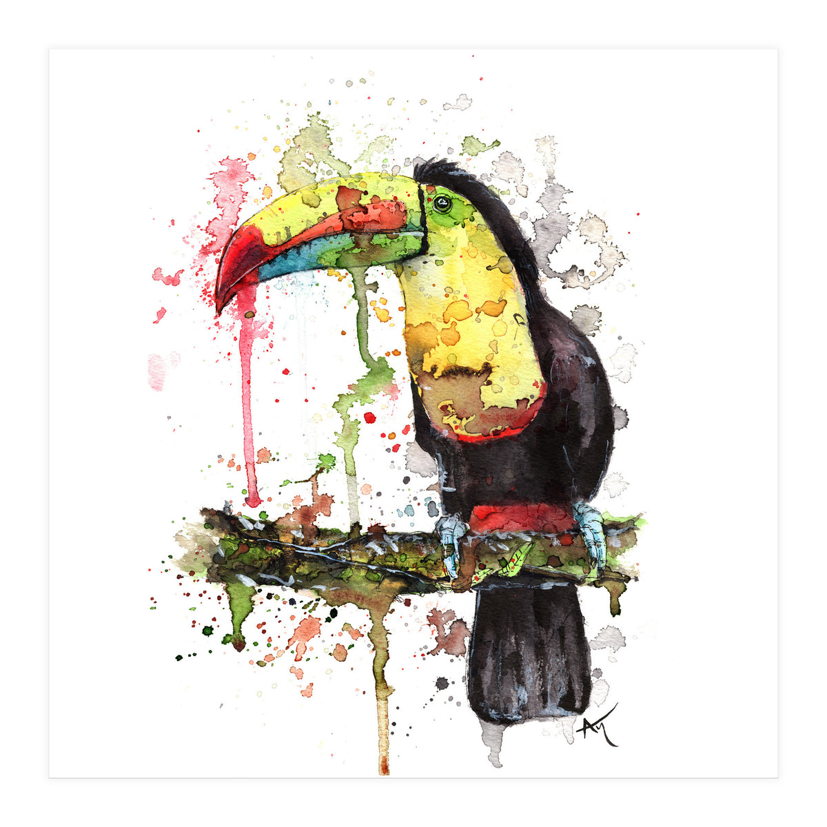Toucan - Wildlife Collection (Print Only)