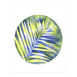 Fern Shadows Std (Print Only) thumbnail