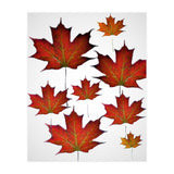 Autumn  leaves (Print Only) thumbnail