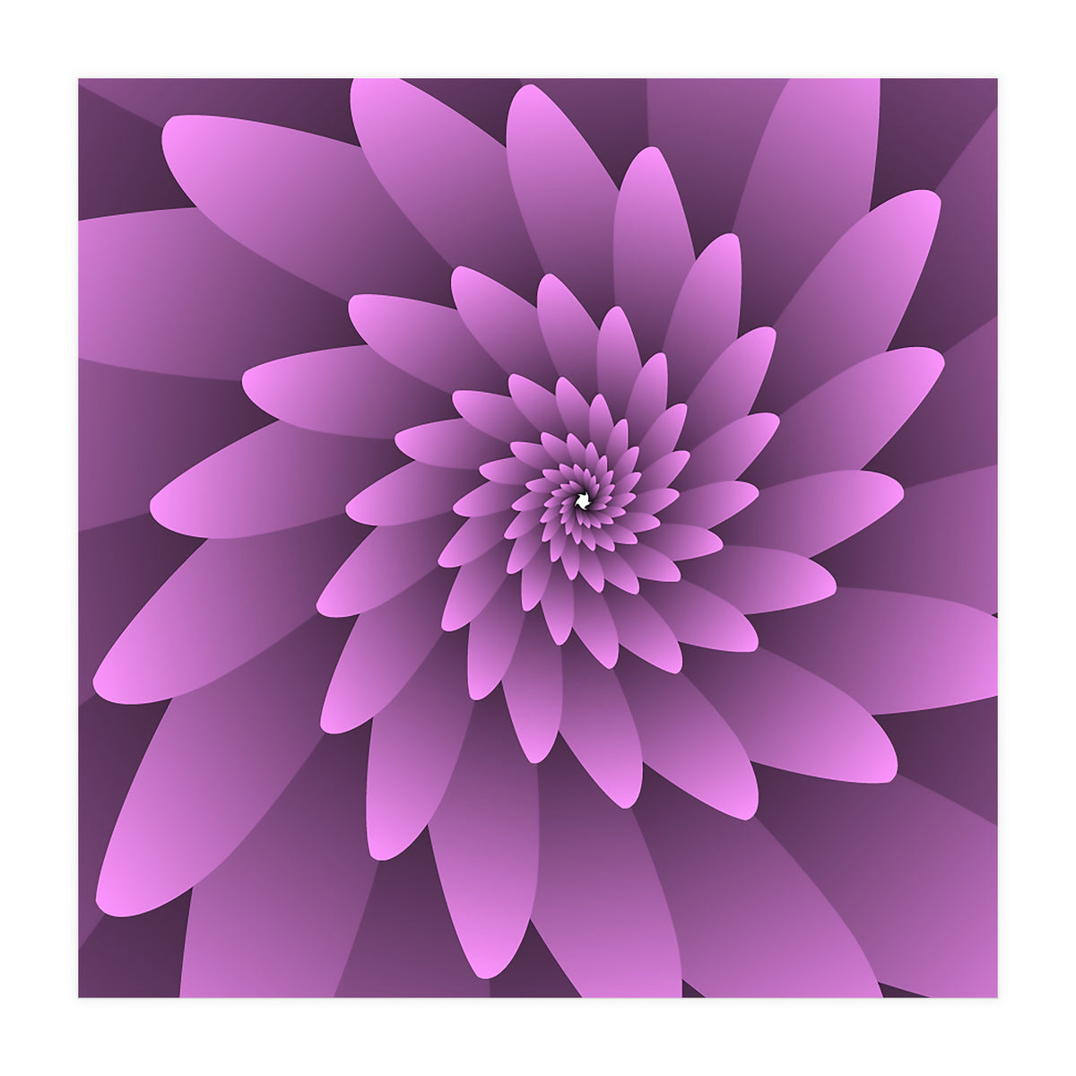 3 D Floral Modern Pink Art (Print Only)