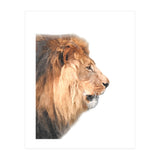 Lion Profile (Print Only) thumbnail