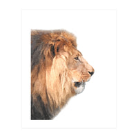 Lion Profile (Print Only)