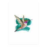 Modern Hummingbird I (Print Only) thumbnail