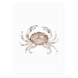 Crab (Print Only) thumbnail