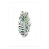 Botanical Illustration Cocos Palm (Print Only) thumbnail
