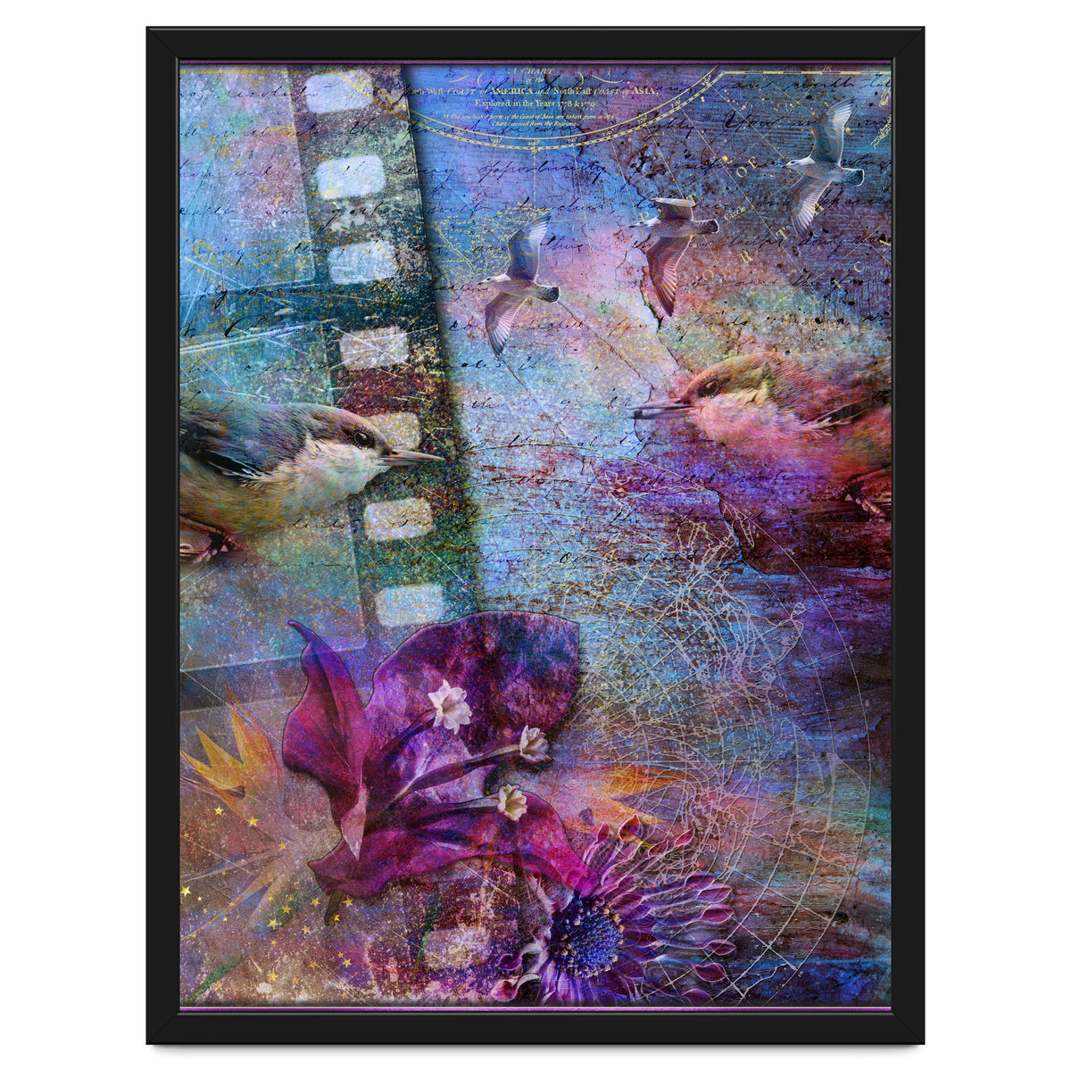 Watching the Wild World