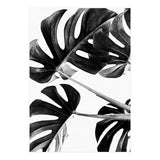 Monstera Black And White 05 (Print Only) thumbnail