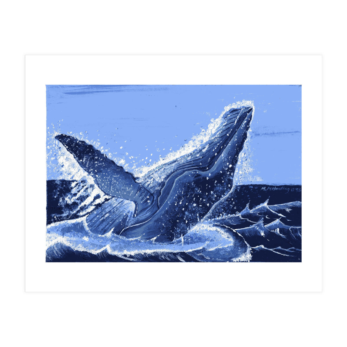 Humpback Whale Breaching  (Print Only)
