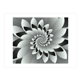 Black & White Floral (Print Only) thumbnail