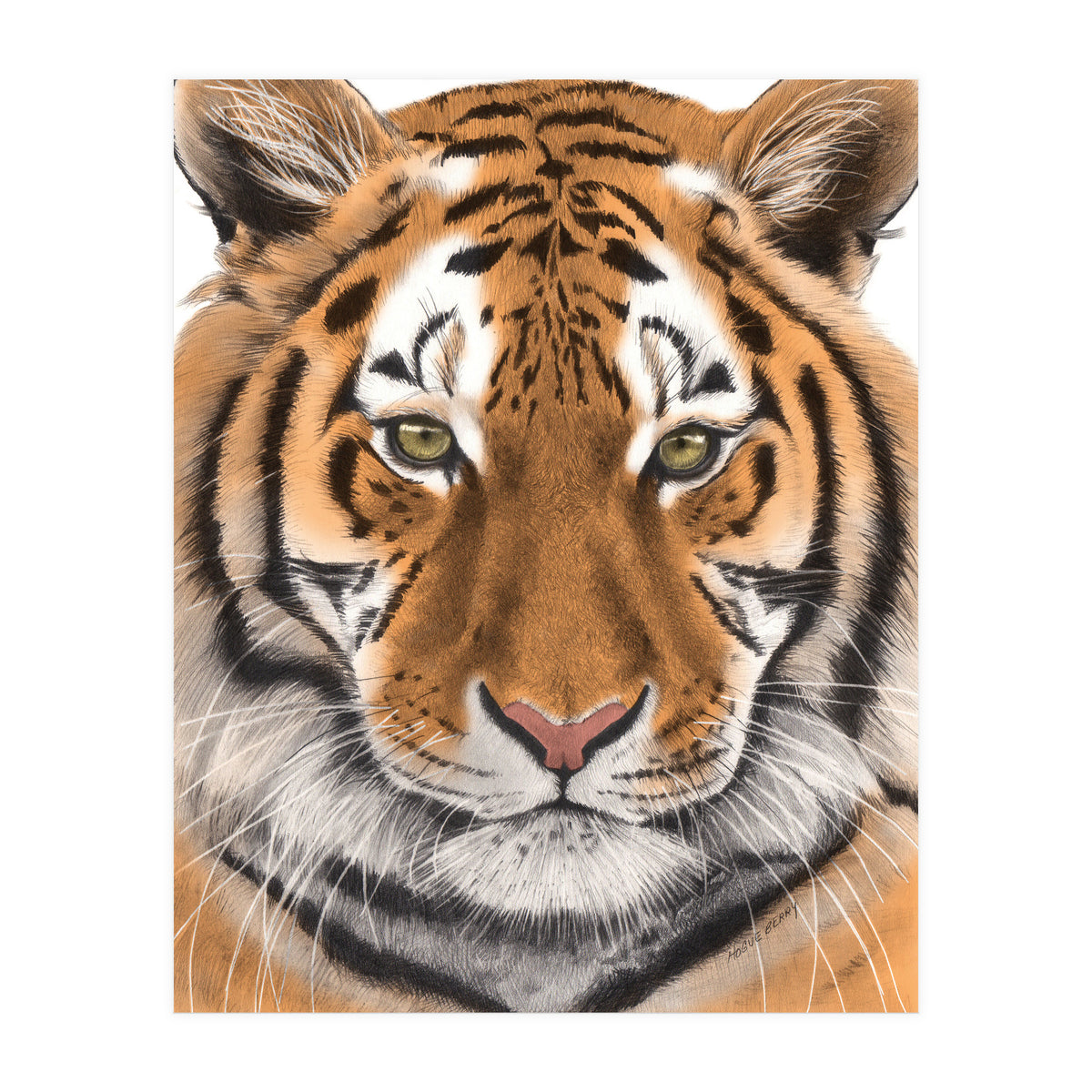 Tiger (Print Only)