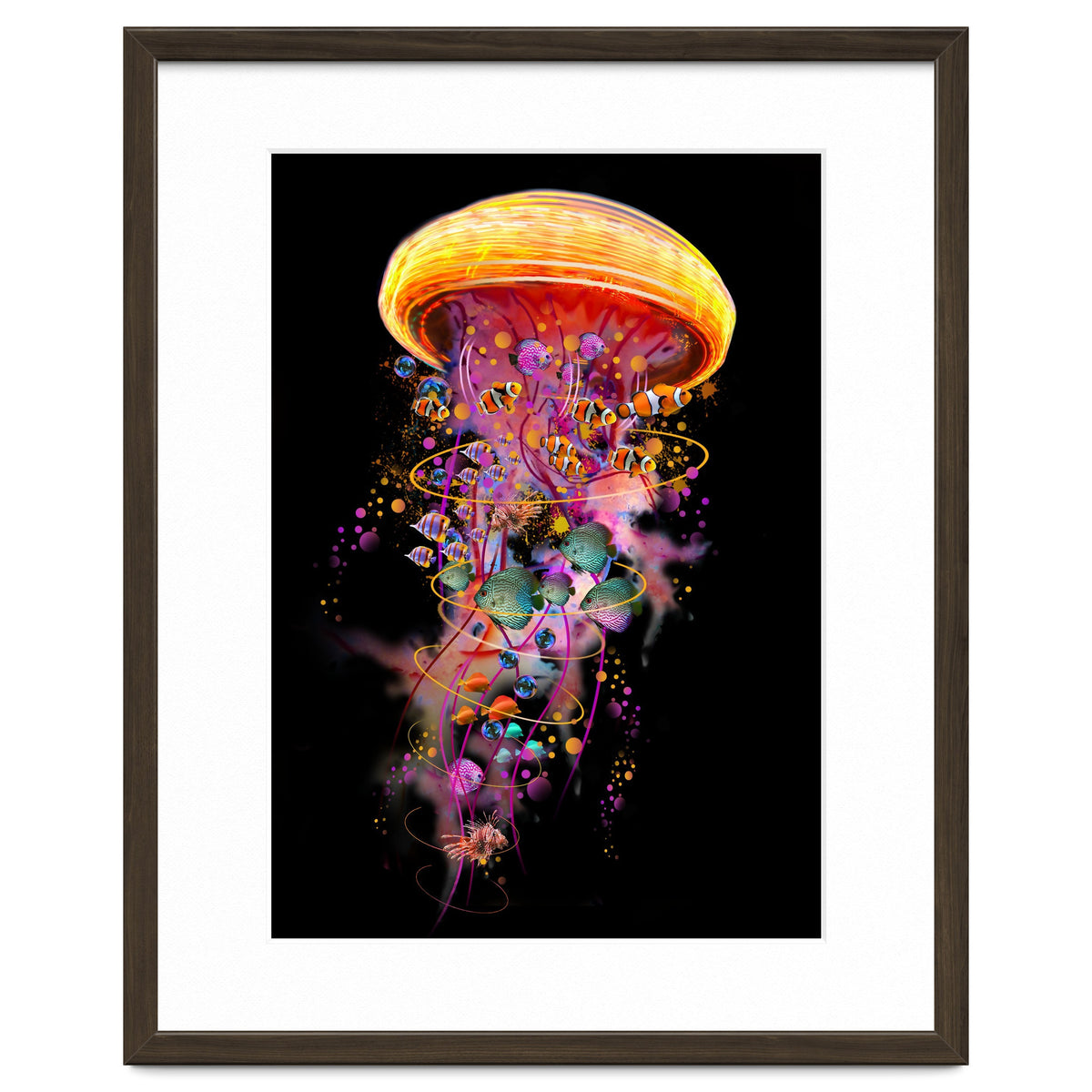 Jelly Fish Ride Summer2018 Dbh