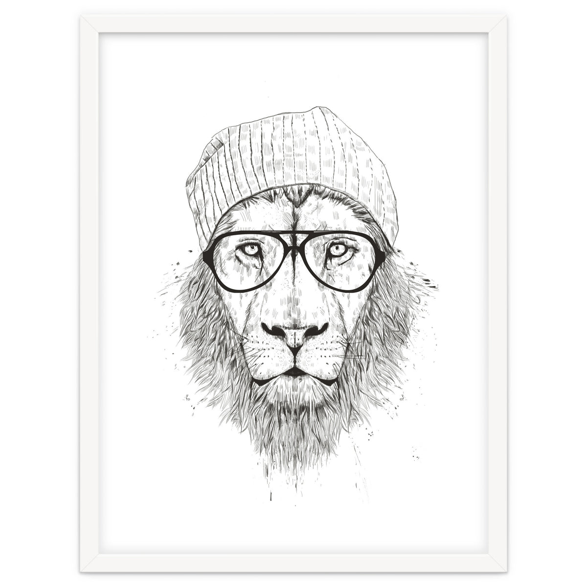 Cool Lion Bw