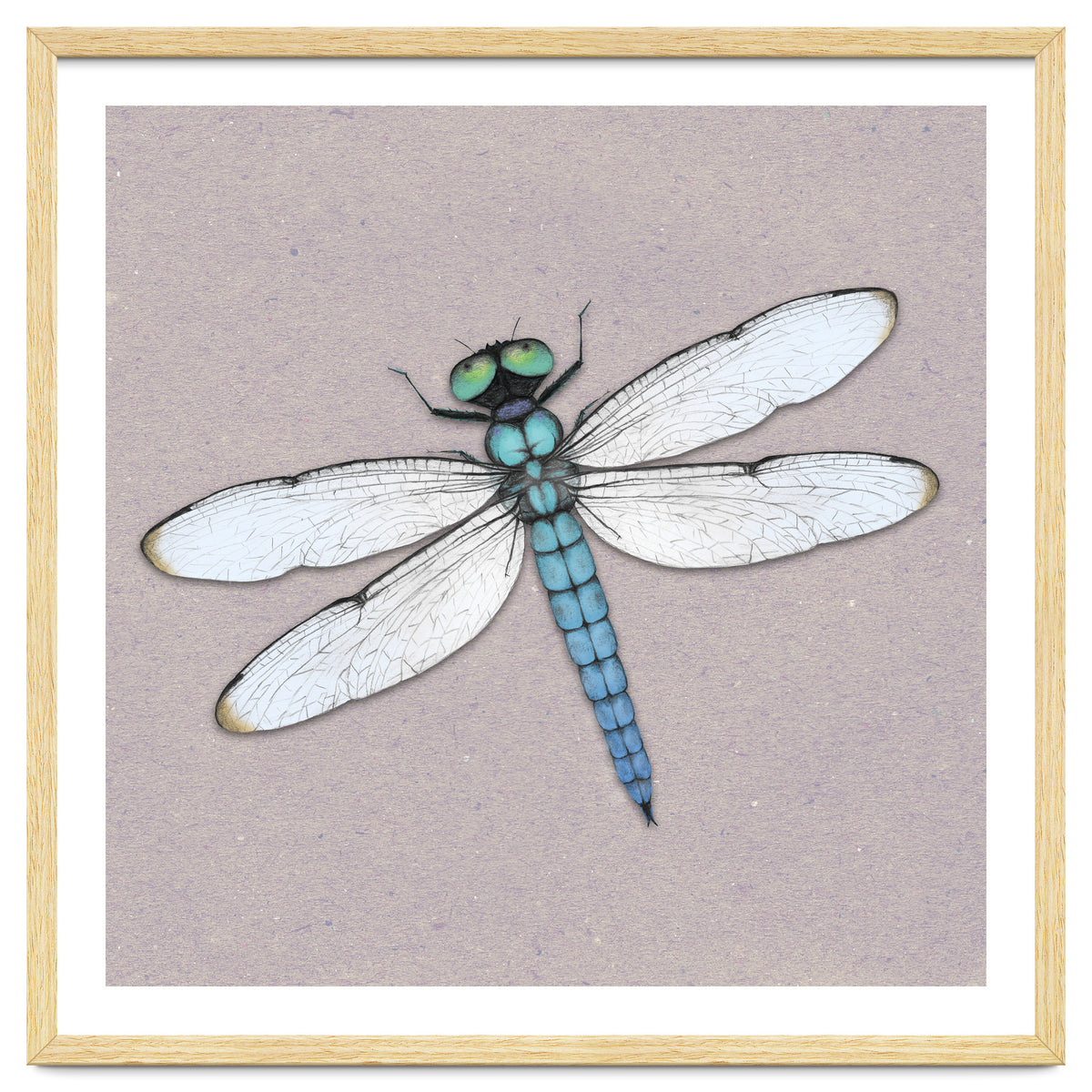 Blue dragonfly