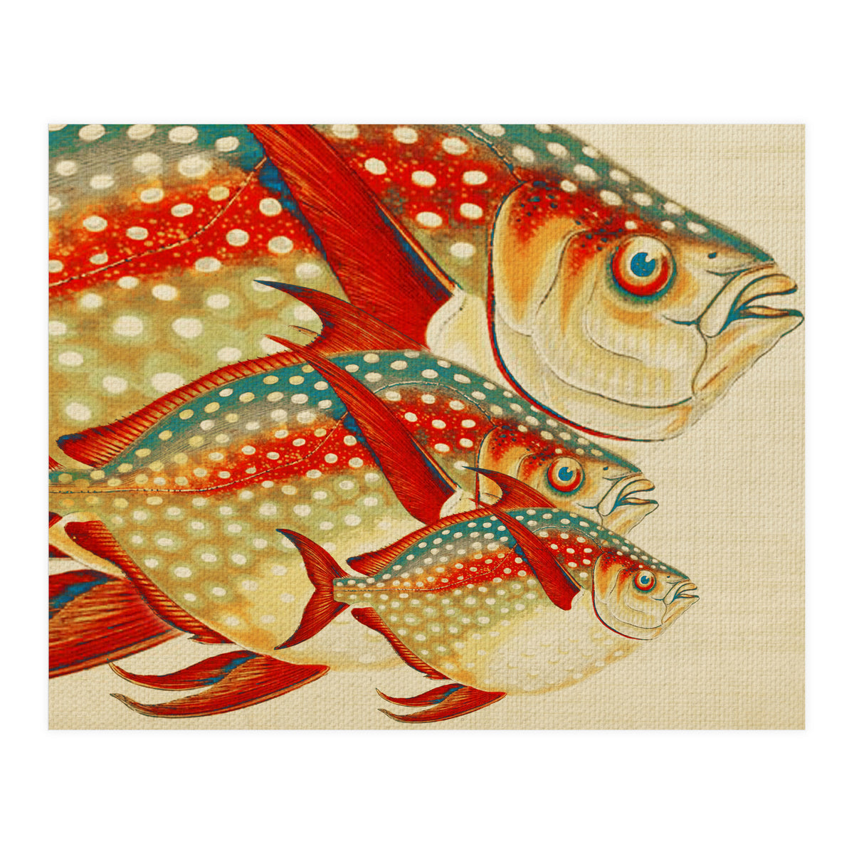 Fish Classic Designs 1 (Print Only)