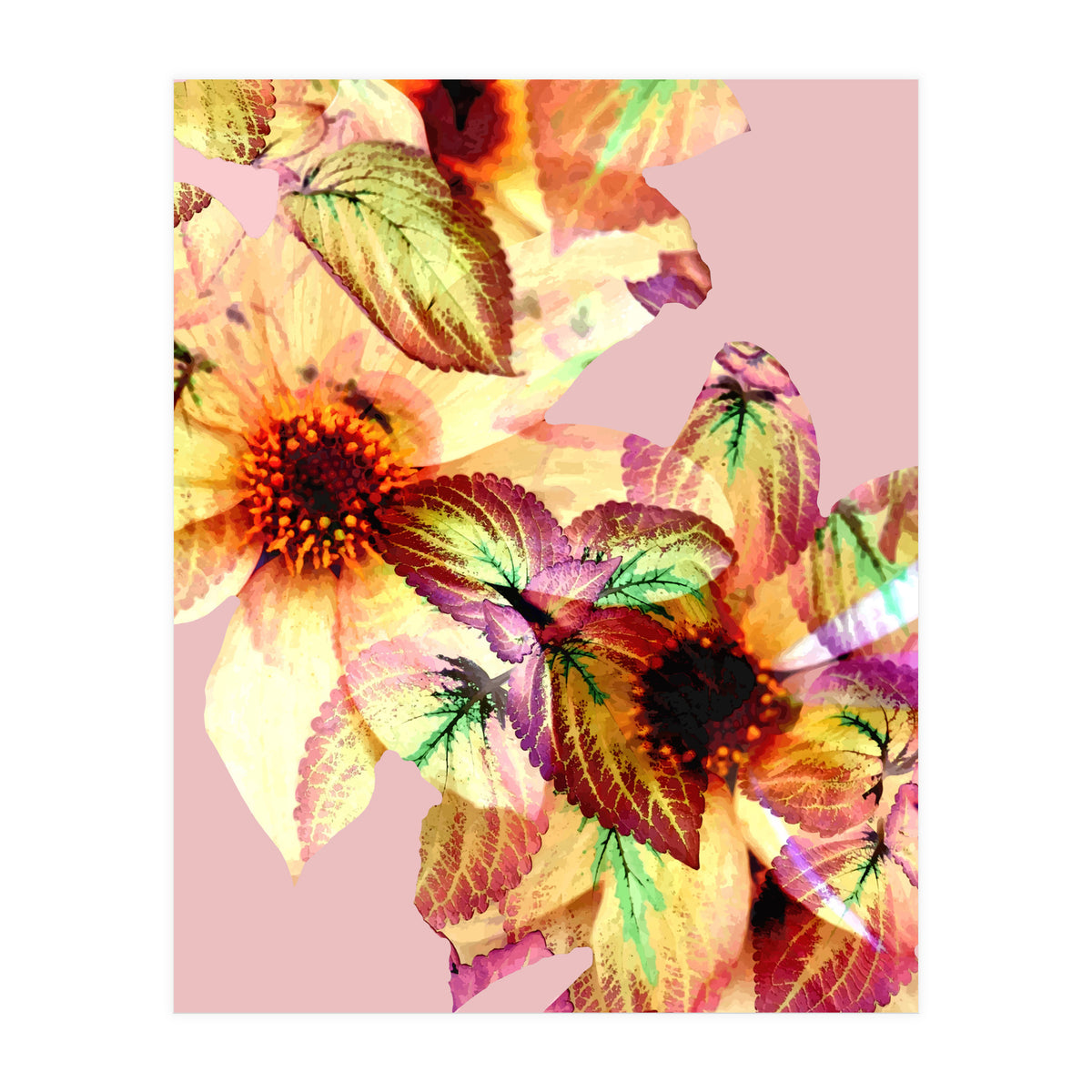 Flower Power (Print Only)