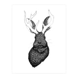 Jackalope  (Print Only) thumbnail