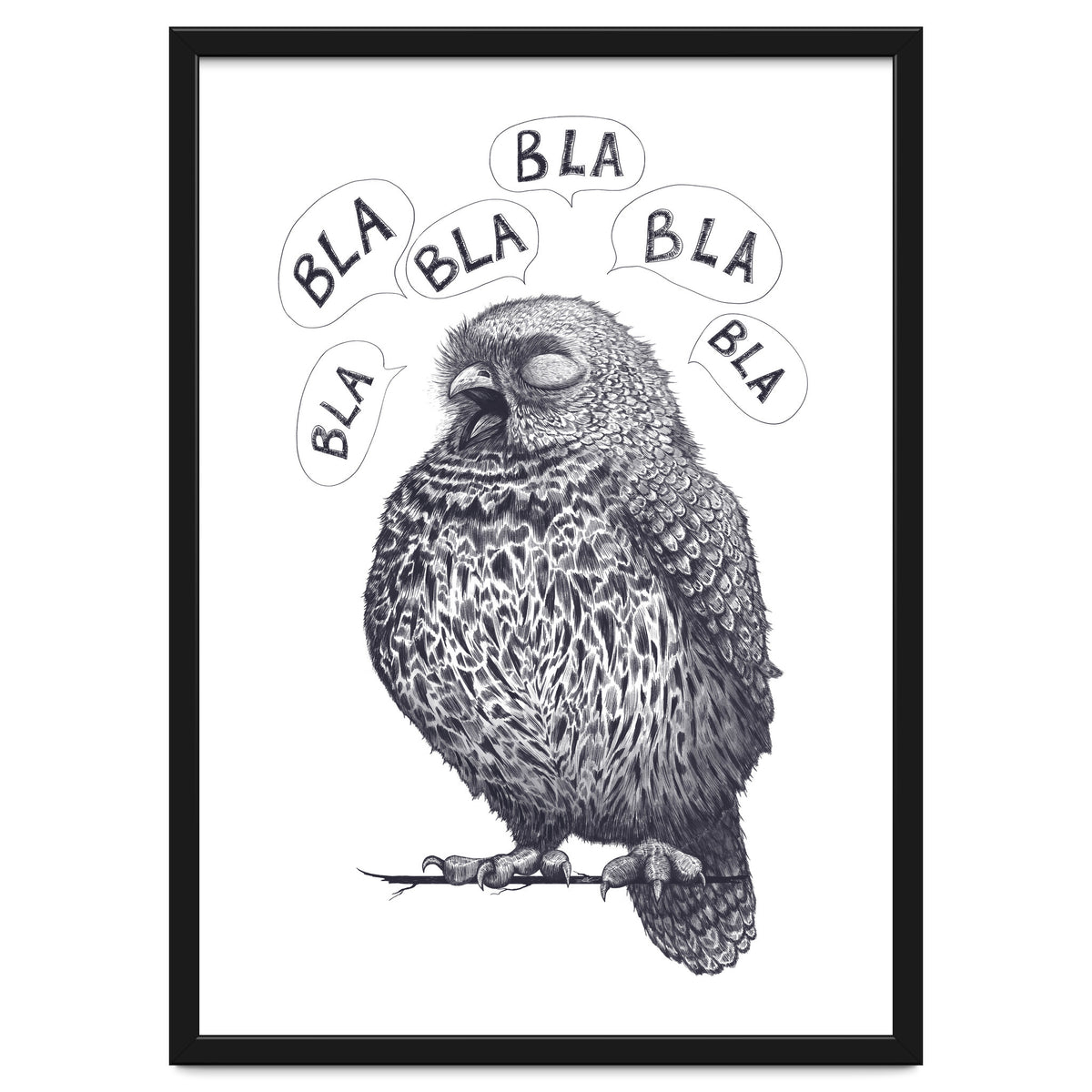 Owl Bla Bla Bla