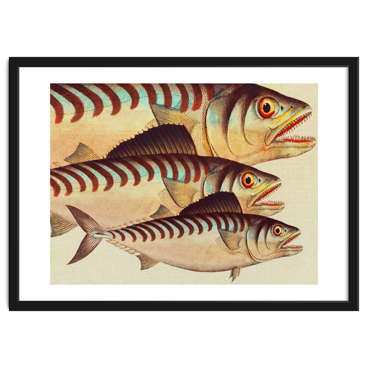 Fish Classic Designs 8