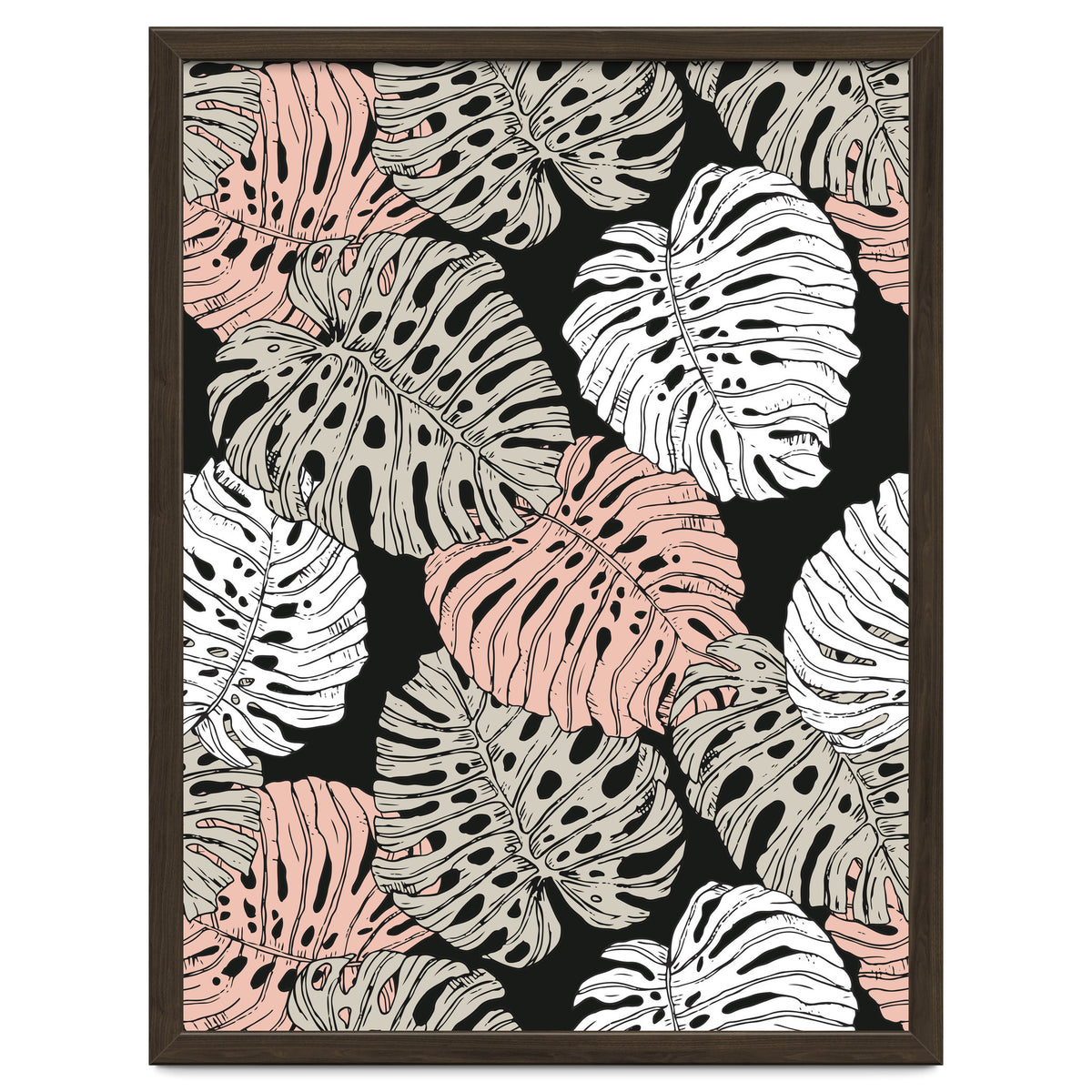 Monstera in the darkness of the jungle