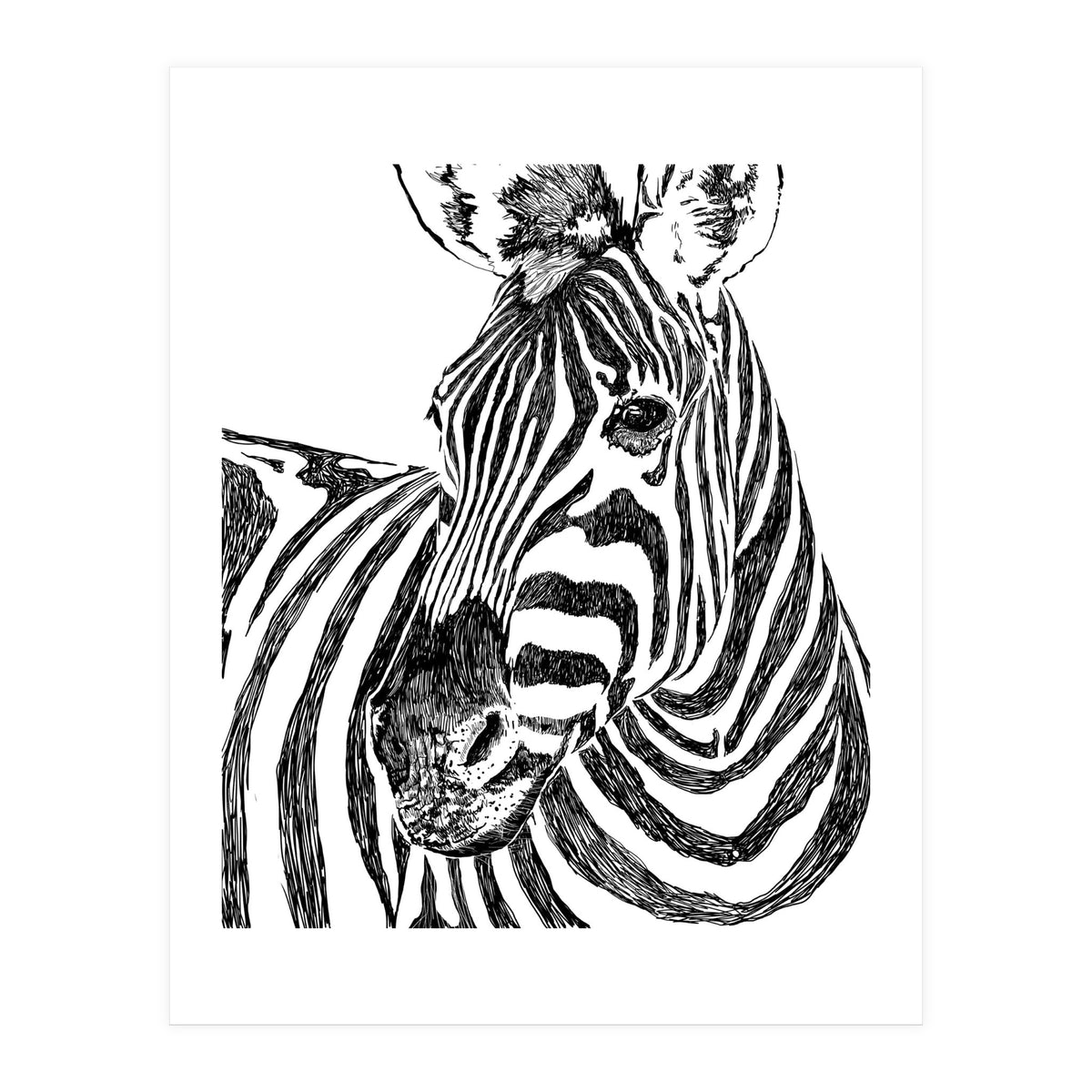 Zebra (Print Only)