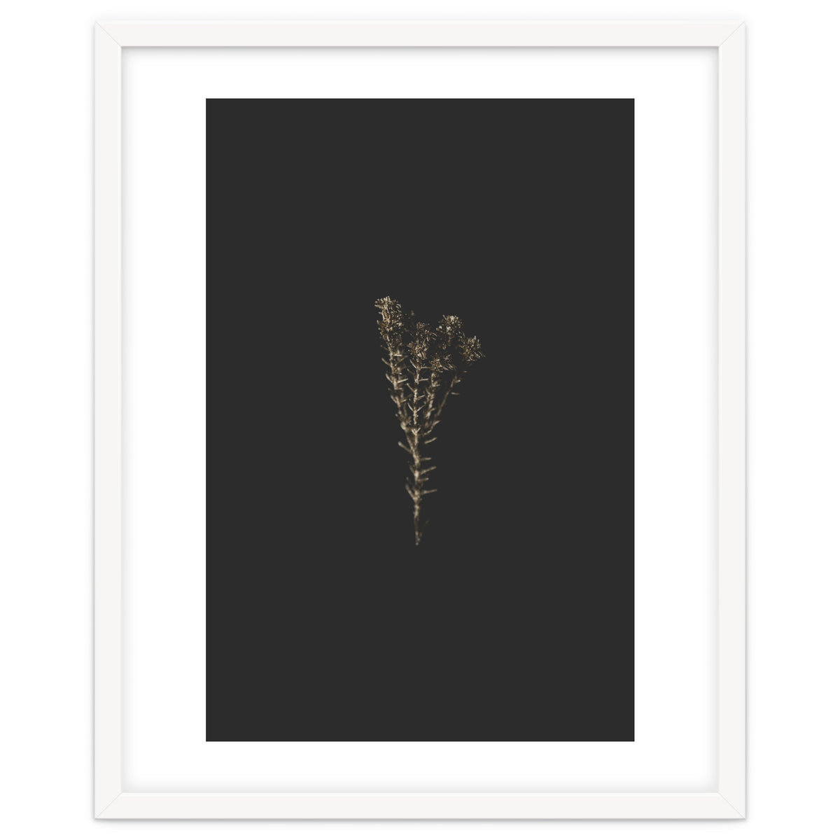 Moody Golden Botanicals