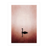 The Swan (Print Only) thumbnail