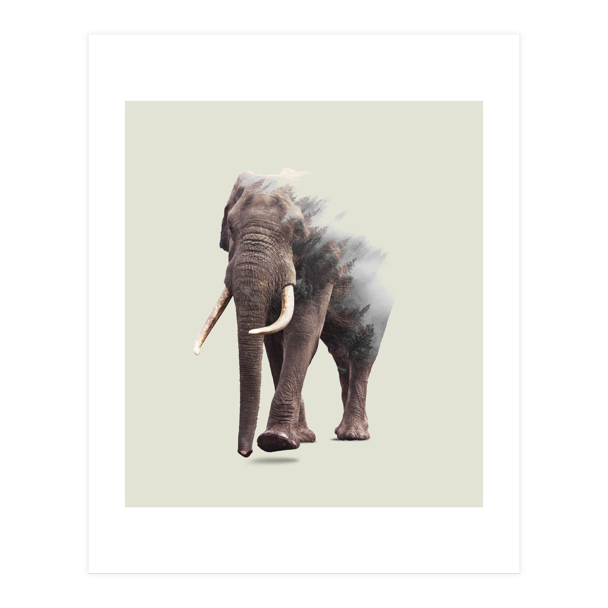 Elephantastic (Print Only)