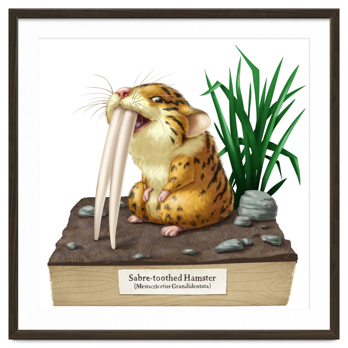 Saber-toothed Hamster