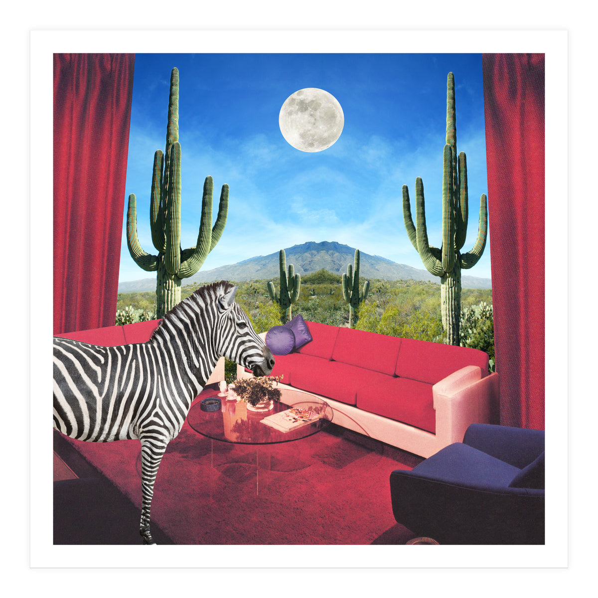 Saguaro Stripes (Print Only)