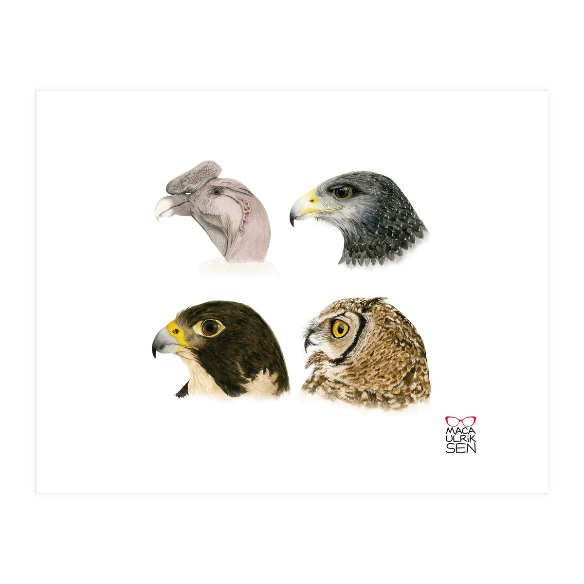 Profile raptors (Print Only)