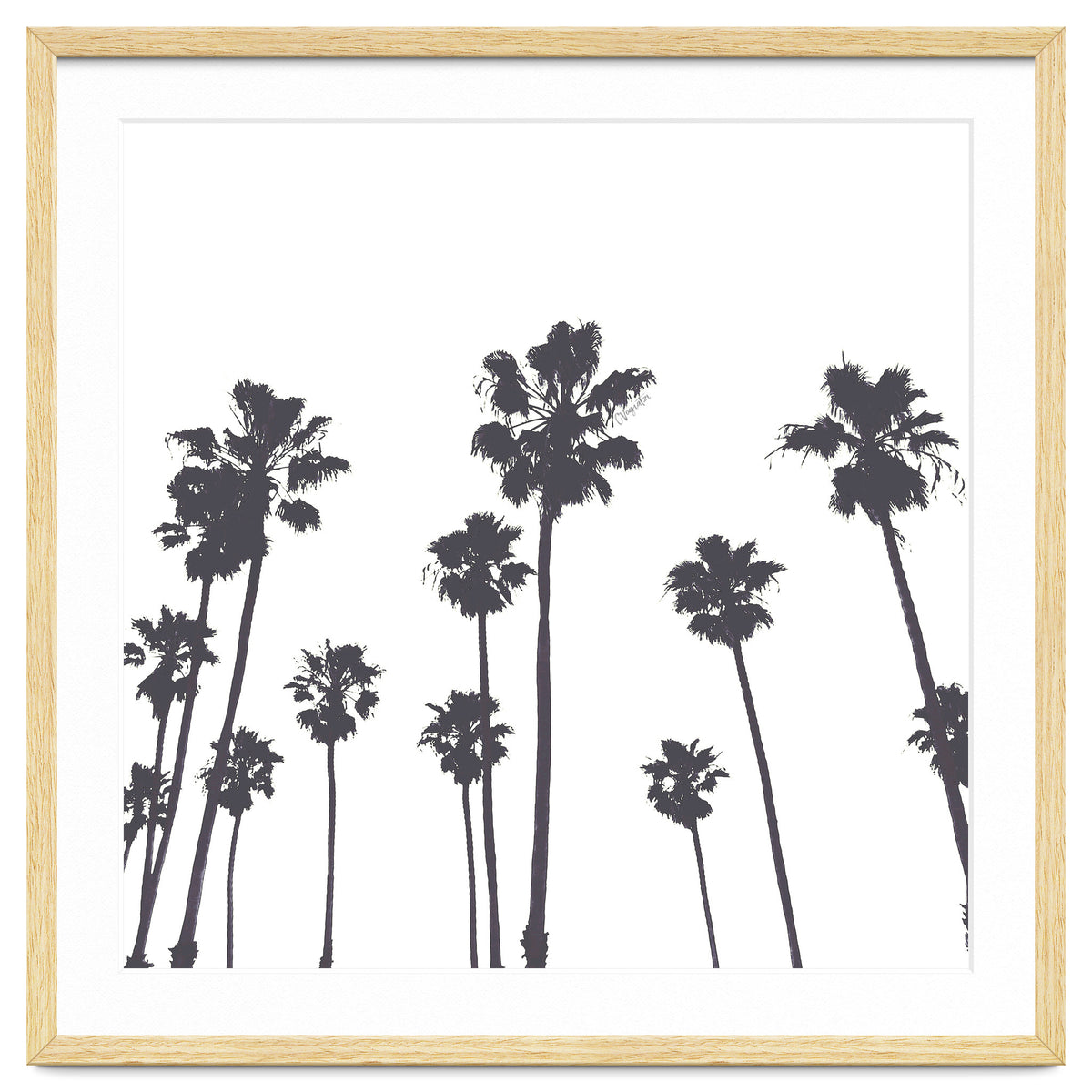 Palms & Sunset-Minimal B&W