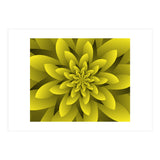 Spring Floral (Print Only) thumbnail