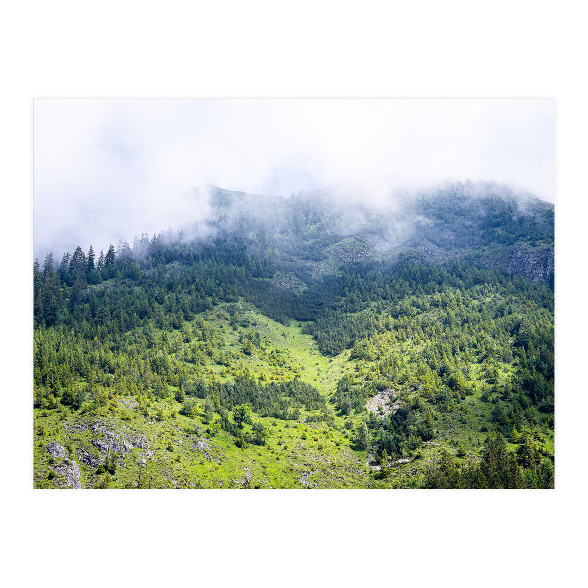 Ascension (Print Only)