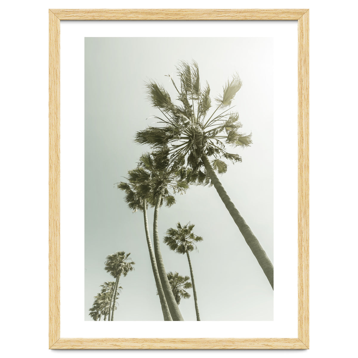 Vintage Palm Trees