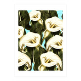 Pattern floral Ethiopian-Calla (Print Only) thumbnail