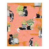 Cats & Plants (Print Only) thumbnail