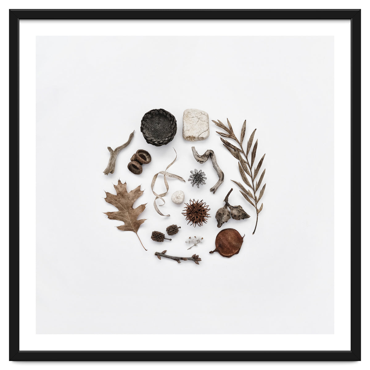 Treasures From Nature No. 2 - Square