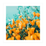 Nyla (Print Only) thumbnail