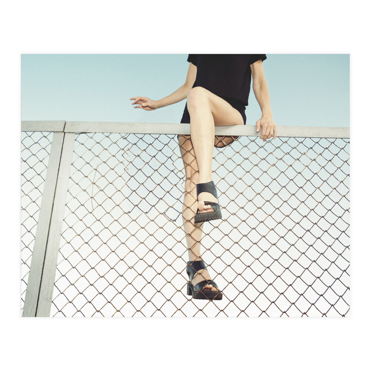 Hoping Fences (Print Only)