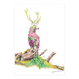 Floral May Stag (Print Only) thumbnail