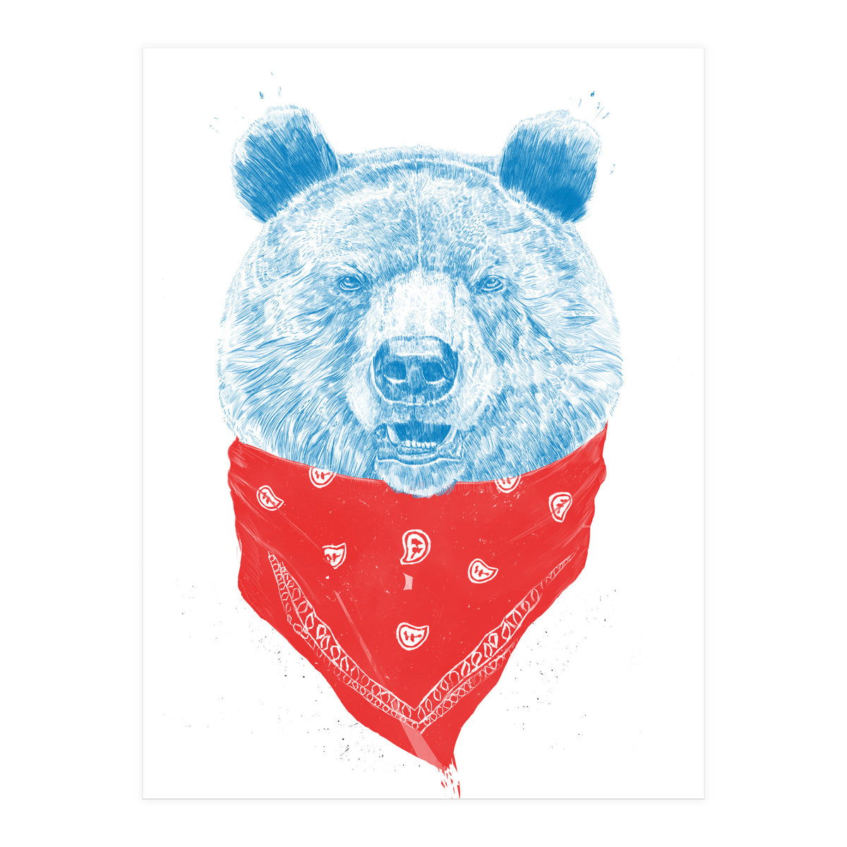 Wild Bear Color Version (Print Only)