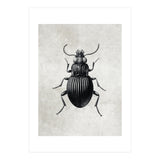 84 (Print Only) thumbnail