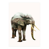 Elephant Transformation (Print Only) thumbnail