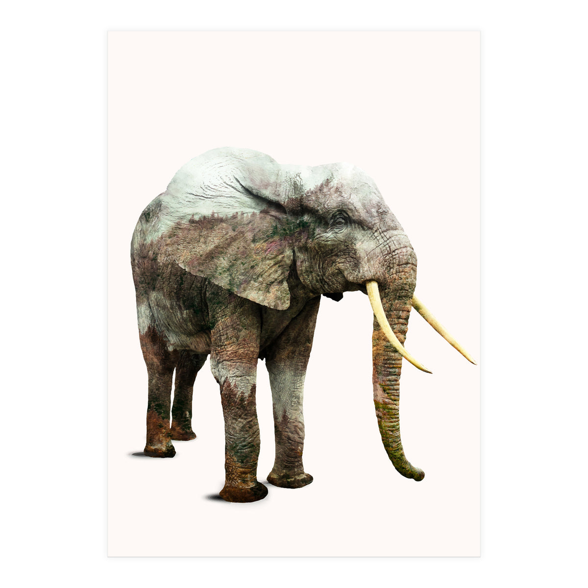 Elephant Transformation (Print Only)
